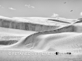 Silver_Subject Projected_Textured dunes_Jennie Stock