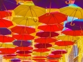 Bronze - Open - Umbrellas - Neil Fletcher