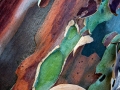 Subject - Bronze - Winter Eucalyptus - Len Stewart 