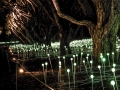 Open-Bronze-Craig Atkins-Albanys rememberance lights