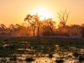 Projected Subject - Bronze - Okavango Delta Sunset - Michelle de Swardt