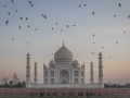 Subject - Bronze - Taj Mahal - Suzi Nodding