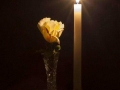 Subject - Silver - Rose by Candlelight 1 -David McHutchison