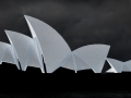 Subject_Gold_Sydney-Opera-House_Susi Nodding