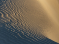 Bronze-Open-Ron-Jackson-Sand-dunes