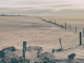 Projected-Colour-3rd-Wind-Swept-Lake-Grace-Michelle-de-Swardt Projected-Colour-3rd-Wind-Swept-Lake-Grace-Michelle-de-Swardt