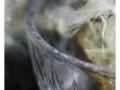 Projected-Colour-Lynda-Dilena-Gold-Mystery