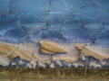 Projected-Colour-Mary-Jo-Gomez-Jackson-Gold-Salt-Lake-Pattern