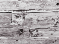 Projected-Mono-Cec-Sylwestrzak-Bronze-Seaworthy