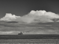 Projected-Mono-Mark-Greenland-Bronze-Field-Bin