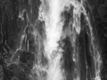 Projected-Mono-Peter-Baughan-Silver-Tempting-Nature