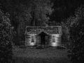 Projected-Mono-Ron-Jackson-Gold-Forrest-Shack