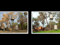 Projected-Subject-Rosemary-Edwards-Silver-After-the-Fires