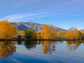Projected-Colour-Ron-Jackson-Lake-Twizel-Gold Projected-Colour-Ron-Jackson-Lake-Twizel-Gold