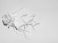 Projected-Subject-David-Garrett-The-Fab-Four-Silver Projected-Subject-David-Garrett-The-Fab-Four-Silver