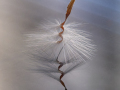 Projected-Colour-Double-Helix-Richard-Eaton-Silver