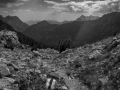 Projected-Mono-Peaks-of-the-Balkans-Iva-Stejskal-Bronze
