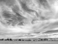 Projected-Mono-Powered-by-Sky-Mike-Freeman-Bronze
