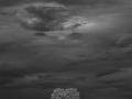 Projected-Mono-Summer-Storms-Tania-Daniels-Bronze