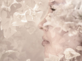 Projected-Subject-Fusion-Anne-Mead-Silver