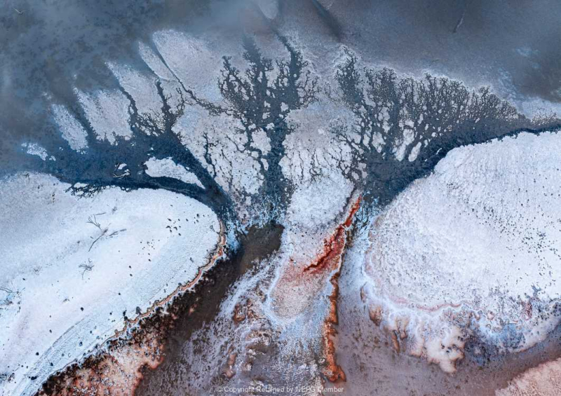 Print-Colour-Helen-Rowbotham-Silver-Tree-of-Life-in-a-salt-lake-Jilakin