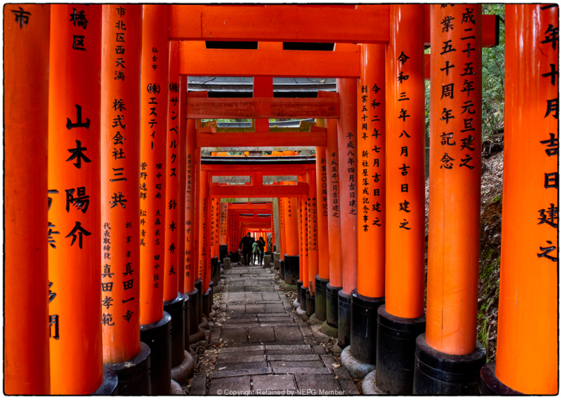 Projected-Colour-Gordon-McDade-Bronze-Looking-down-the-senbon-torii-pathway