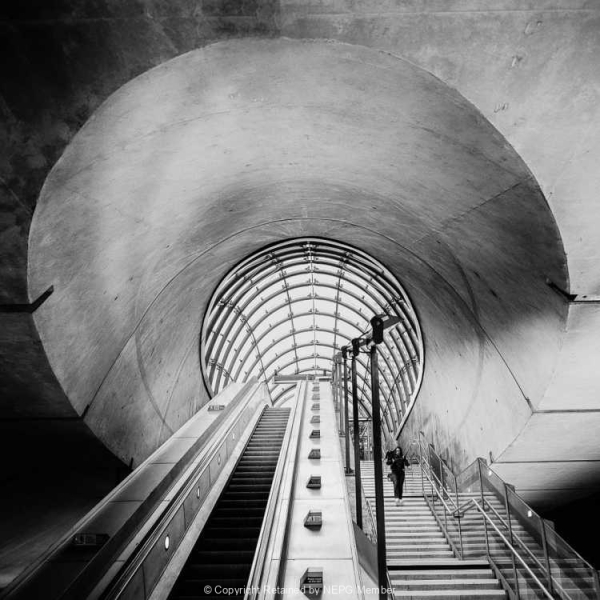 Projected-Mono-Bronze-Richard-Eaton-Down-The-Tube