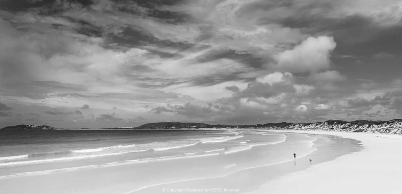 Projected-Mono-Silver-Rita-Atkinson-Walking-The-Dog
