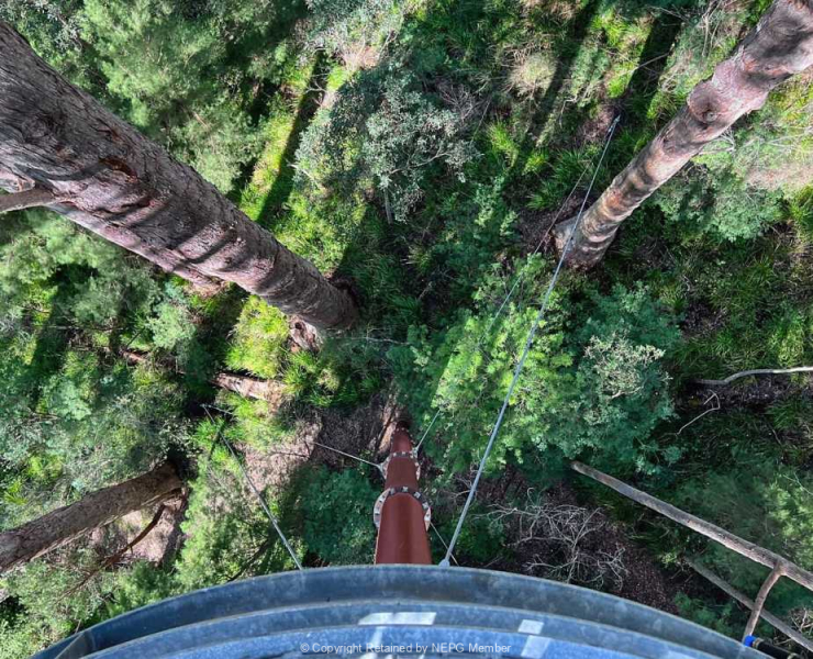 Projected-Subject-Bronze-Leah-Squire-Long-Way-Down