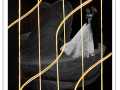 Projected-Colour-Bronze-Margrit-Wendt-The-Golden-Cage Projected-Colour-Bronze-Margrit-Wendt-The-Golden-Cage