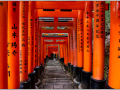 Projected-Colour-Gordon-McDade-Bronze-Looking-down-the-senbon-torii-pathway Projected-Colour-Gordon-McDade-Bronze-Looking-down-the-senbon-torii-pathway