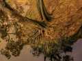 Projected-Subject-Bronze-Lakshmi-R-Balakrishnan-Roots Projected-Subject-Bronze-Lakshmi-R-Balakrishnan-Roots