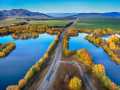 Projected-Subject-Gold-Ron-Jackson-Autumn-Passage Projected-Subject-Gold-Ron-Jackson-Autumn-Passage