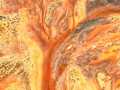 Projected-Subject-Silver-Michelle-De-Swardt-Artists-Canvas Projected-Subject-Silver-Michelle-De-Swardt-Artists-Canvas