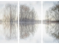 Open-Colour-Print-EOY-1st-Susi-Nodding-Winter-Reflections-Susi-Nodding Open-Colour-Print-EOY-1st-Susi-Nodding-Winter-Reflections-Susi-Nodding
