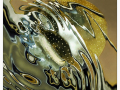 Open-Colour-Print-EOY-3rd-Barbara-Brown-Jellyfish-meets-Reflection Open-Colour-Print-EOY-3rd-Barbara-Brown-Jellyfish-meets-Reflection
