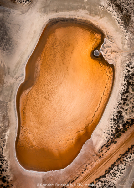 Print-Colour-Extra-Terrestrial-Adrian-Hall-Gold