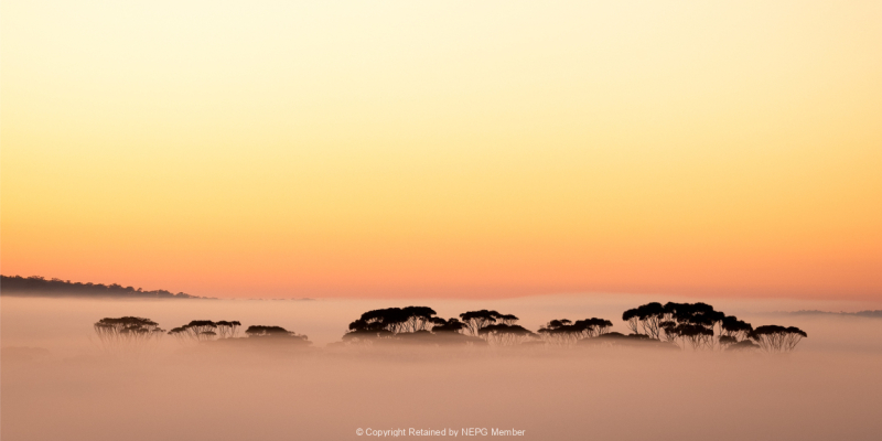 Print-Colour-Sea-of-Fog-Galina-Romalis-Silver