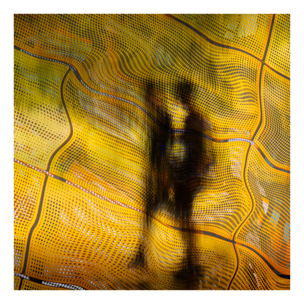 Projected-Colour-A-students-dream-margrit-wendt-Silver