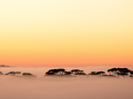 Print-Colour-Sea-of-Fog-Galina-Romalis-Silver Print-Colour-Sea-of-Fog-Galina-Romalis-Silver