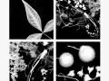 Print-Mono-Garden-Treasures-Jean-Wilson-Gold Print-Mono-Garden-Treasures-Jean-Wilson-Gold