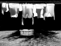 Projected-Mono-hung-out-to-dry-Terry-Maidens-Silver Projected-Mono-hung-out-to-dry-Terry-Maidens-Silver