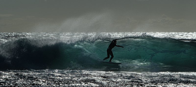 Print-Colour-Ray-Meckenstock-SurfS-Up-Bronze