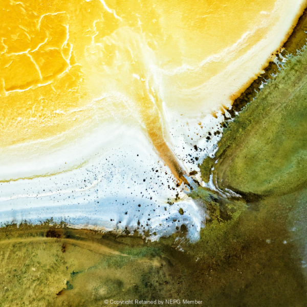 Projected-Colour-Michelle-De-Swardt-Gold-Spills-Gold