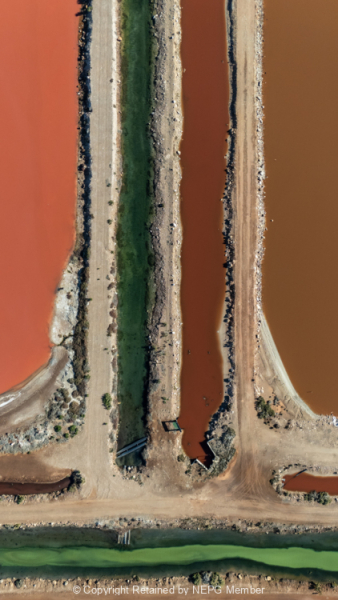 Projected-Colour-Rita-Atkinson-From-Above-Gold.jpg