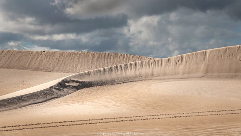 Projected-Subject-Anne-Mead-In-The-Dunes-Silver