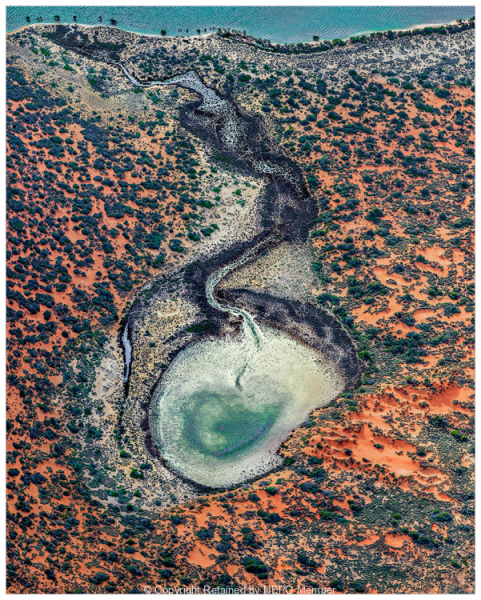 Projected-Subject-Barbara-Brown-Shark-Bay-Lagoon-Silver