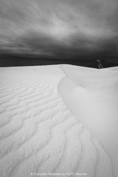 Projected-Subject-Gregory-Mccluney-Lancelin-Sand-Dunes-Bronze