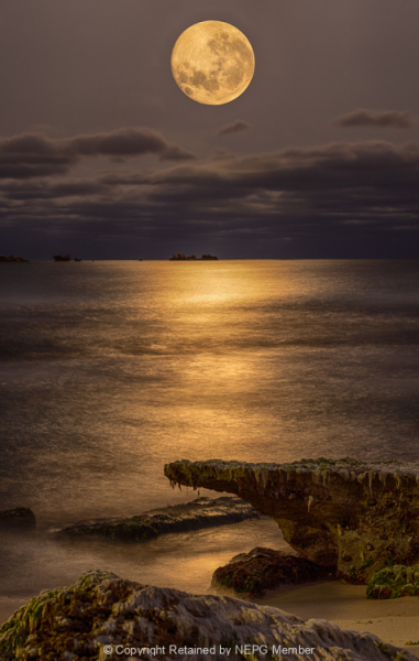 Projected-Subject-Mary-Jo-Gomez-Jackson-Super-Moon-Silver