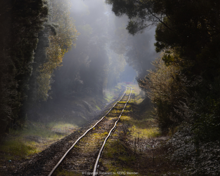 Projected-Subject-Ron-Jackson-Old-Railway-Tracks-Bronze